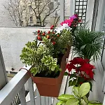 Studio Cosy Spacieux De 30M Proche Tour Eiffel 2Pers